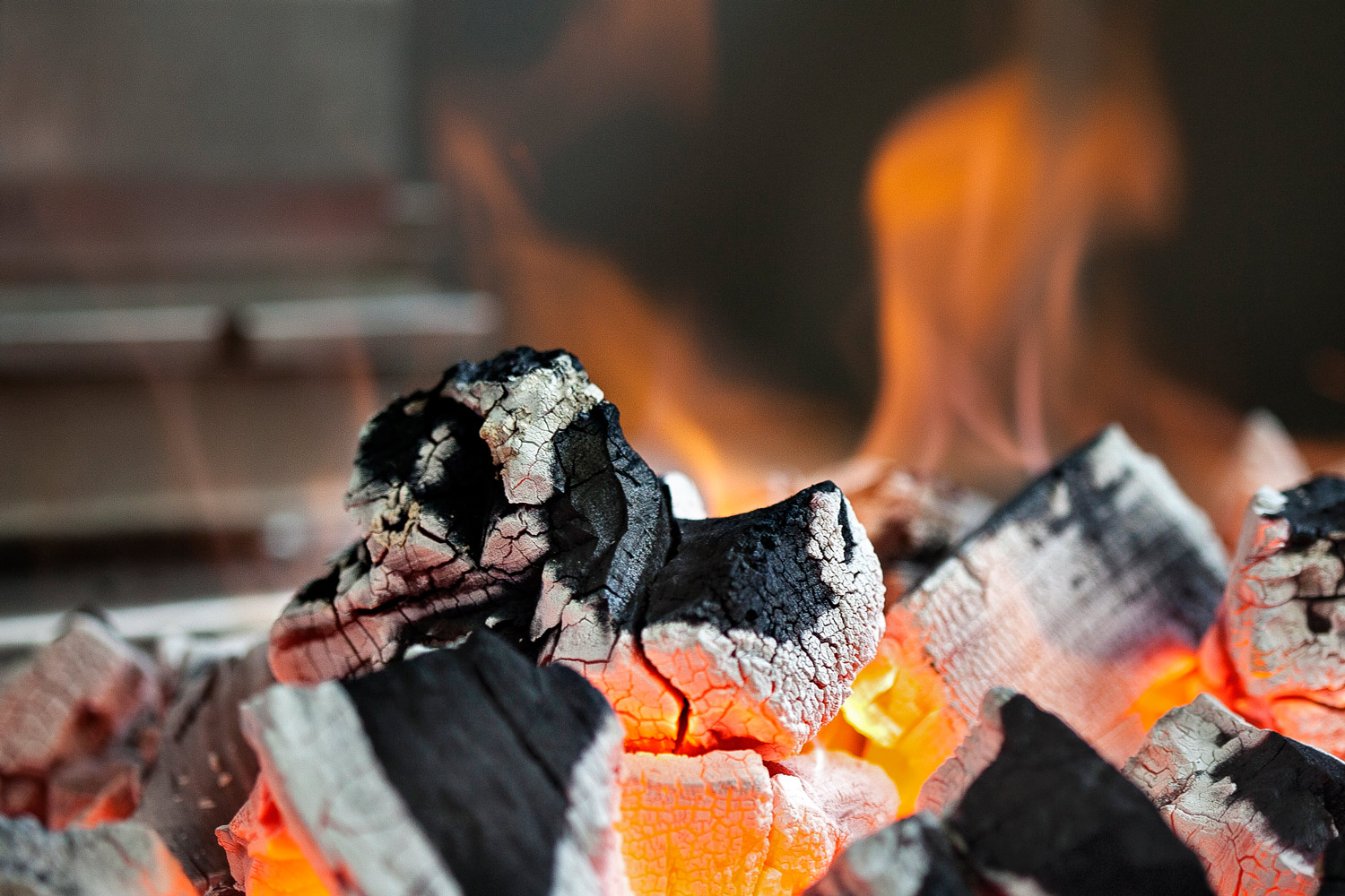Carbón Josper